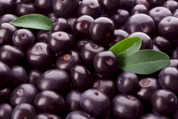 Fructe de acai proaspete coapte ca fundal