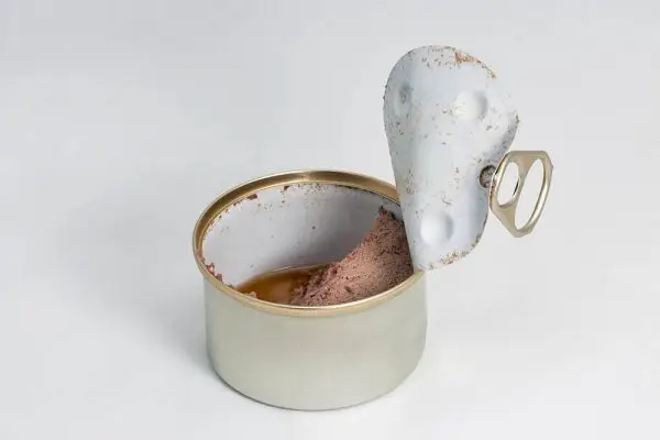 O que fazer com as sobras de comida de cachorro? 6 ótimas ideias