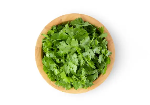 en skål med korianderblad