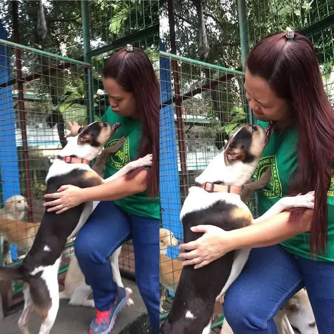 Wacku The Rescue had de helft van zijn gezicht afgehakt door een dronken man met een kapmes' title=