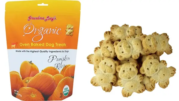 5 biologiske og permanente delikatesser med deres hund kan være