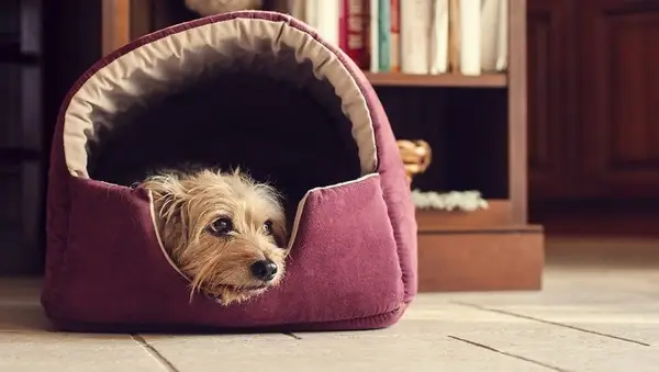 Oh it looks like I just happened on this scene... laid down on the floor and snapped a picture, right? The truth is... I