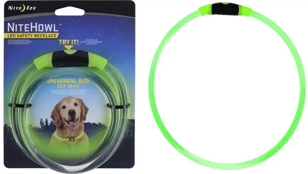 Gaudeix d’aquests gossos elegants i mostra la naturalesa del gos