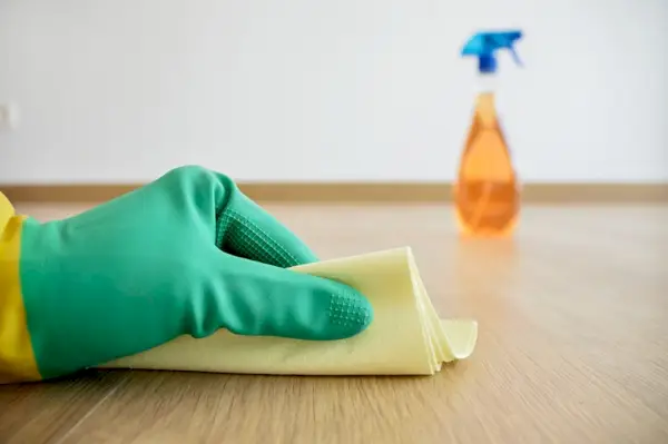 Dogster_Divisors de llocs web_v1_18 de gener de 2024-03