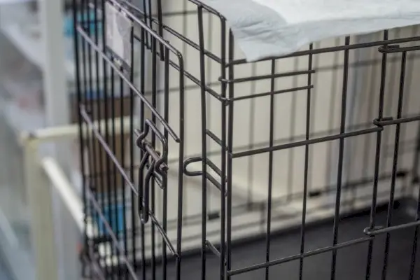 una jaula para perros vacía