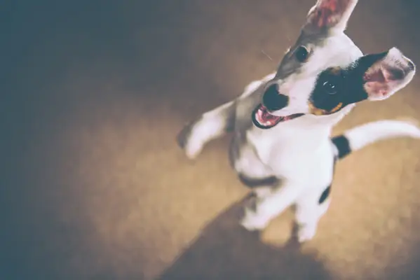 Hur man gör hem hem