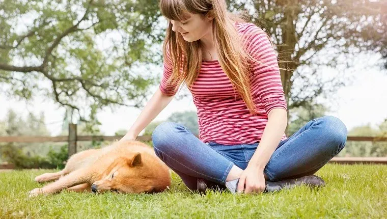 Молодая женщина гладит дремлющую в траве собаку.' title=