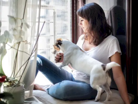 жена и њен мали пас седе заједно на седишту поред прозора и гледају кроз прозор