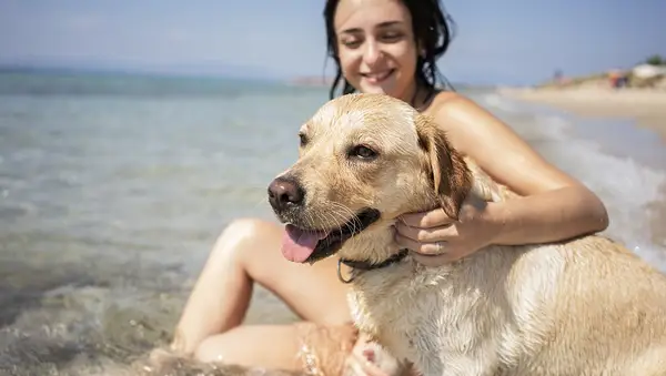 Young woman having fun with her dog at the beach