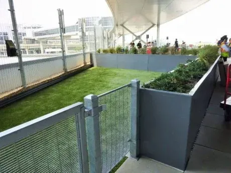 JFK Najbardziej przyjazne zwierzętom lotnisko w Ameryce?' title=