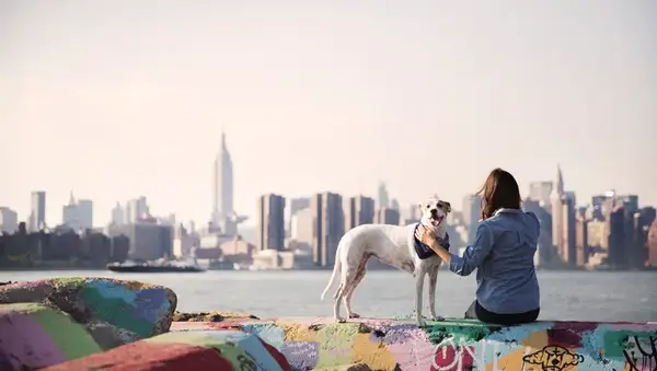 Perfekte Hundestadt für Ihren nächsten Urlaub