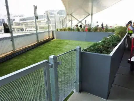 È l'aeroporto più bello per gli animali domestici JFK America?