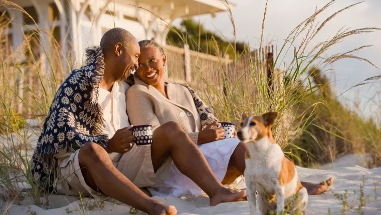 Възрастна афро-американска двойка, седнала на плажа' title=