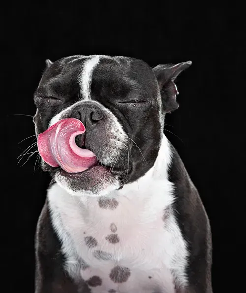 (A kép forrása: Getty Images)' title=