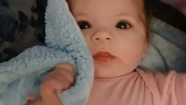 Mors mor forklarede, hvorfor hunden blev kidnappet, angreb på Embrazard