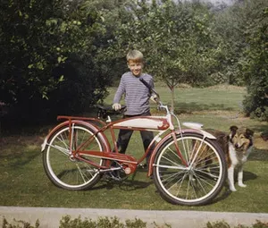 Топ 10 најмање модерних имена паса и мачака