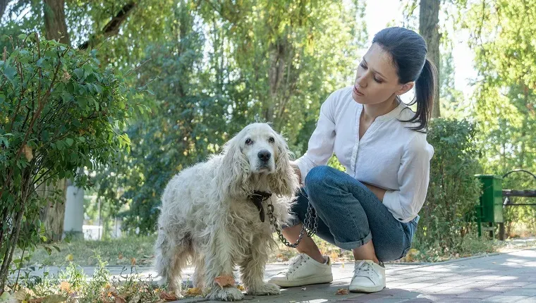 Korta promenader' title=