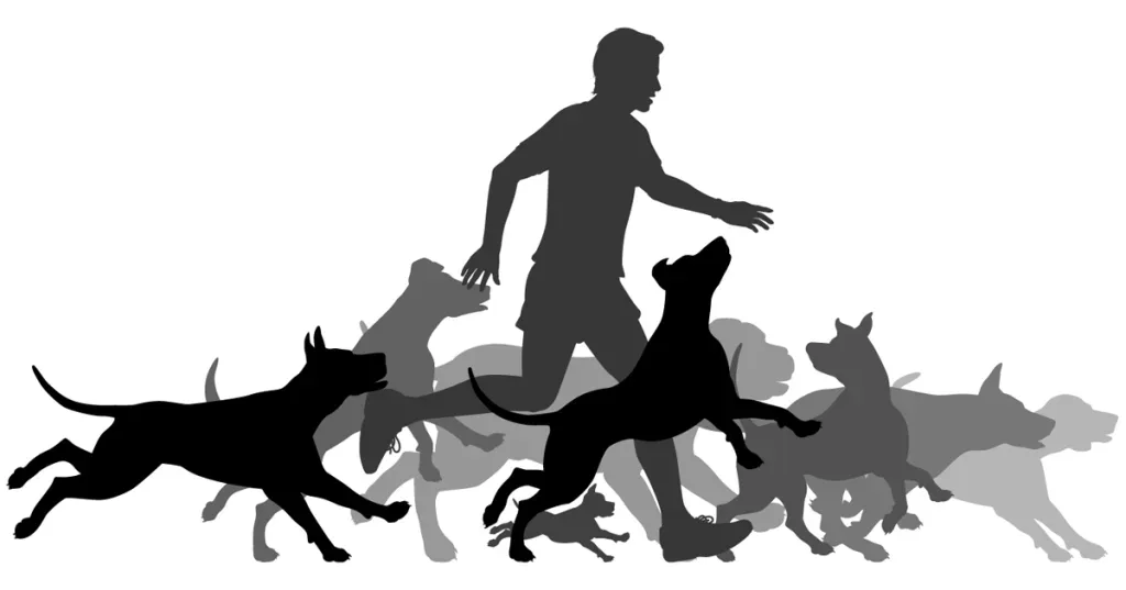 Az 5 legjobb tipp a kutyával való futáshoz