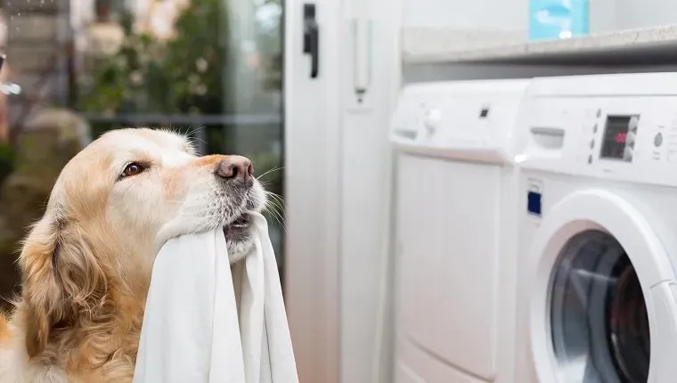 Одржавајте све чистим' title=