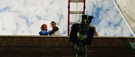 הצילו את חיית המחמד בכל מחיר!