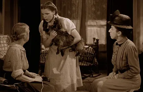 הצילו את חיית המחמד בכל מחיר!