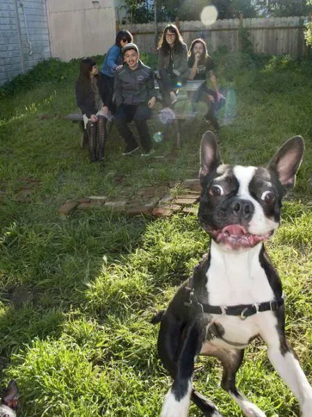 25 photobombes de chiens' title=
