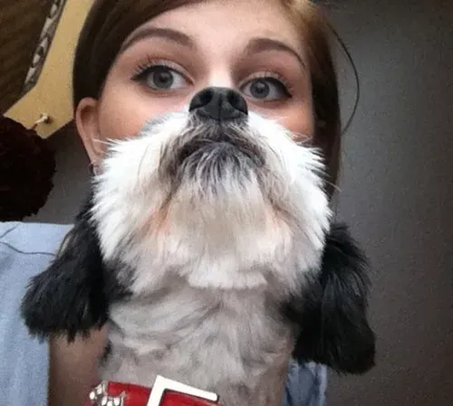 25 photobombes de chiens' title=