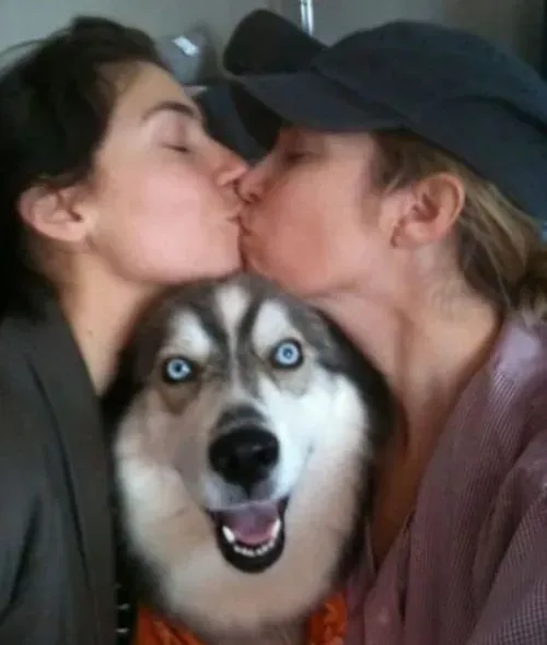 25 photobombes de chiens' title=