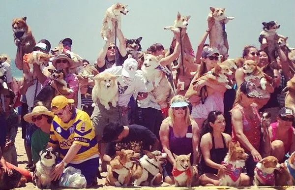 Visu laiku lielākā So Cal Corgi pludmales diena: vairāk nekā 500 korgiju