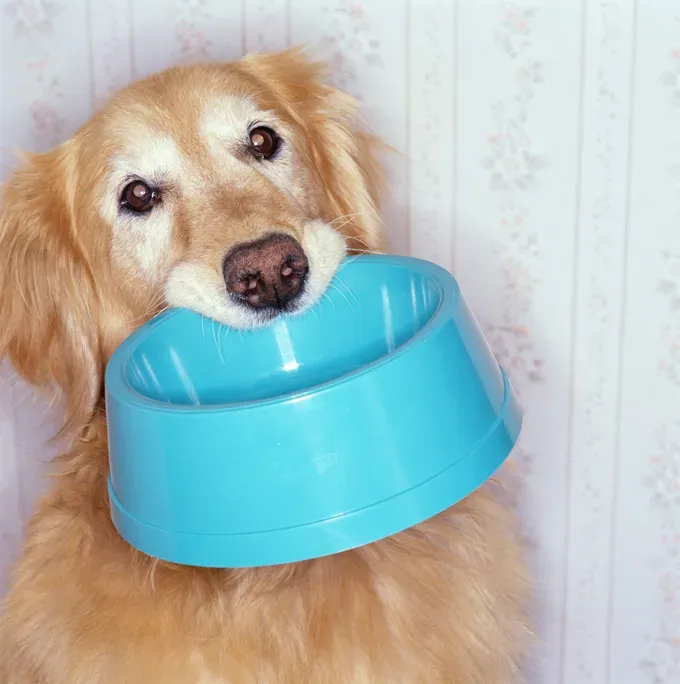 (Crédito de la imagen: Getty Images)' title=