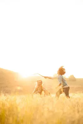 Hunde får også høfeber