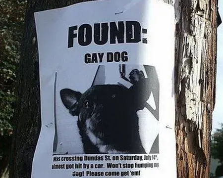 10 roliga saknade husdjursskyltar' title=