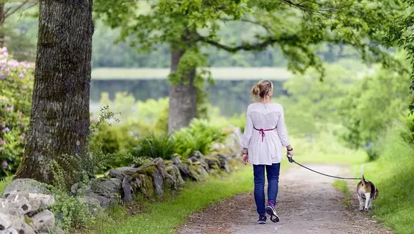 Avoid Hot Surfaces In Summer