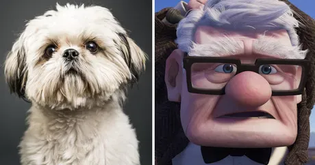8 races de chiens qui représentent parfaitement les personnages de Disney