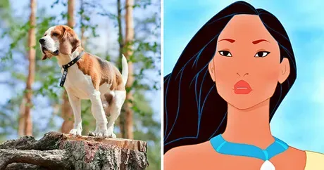 8 races de chiens qui représentent parfaitement les personnages de Disney