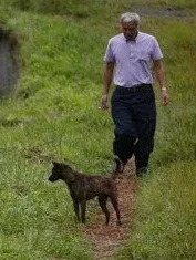 Held für die Tiere von Fukushima