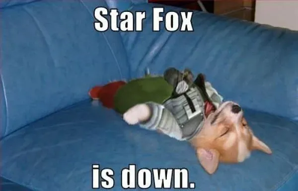 25 mèmes drôles de chiens : partie 4' title=