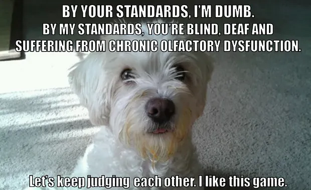 25 meme divertenti sui cani: parte 2' title=