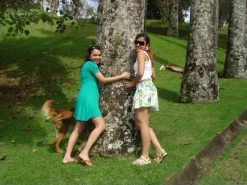 25 fotobombes per a gossos' title=