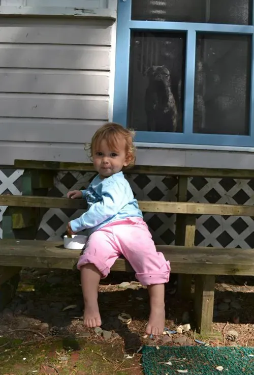 25 fotobombes per a gossos' title=