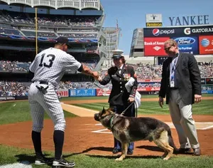 Янки устроили церемонию возвращения на родину капрала. Ливи и сержант. Рекс
