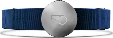 30 dagar med Whistle Dog Activity Monitor