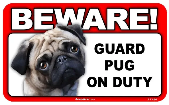 Top 25 sjove hundetegn' title=