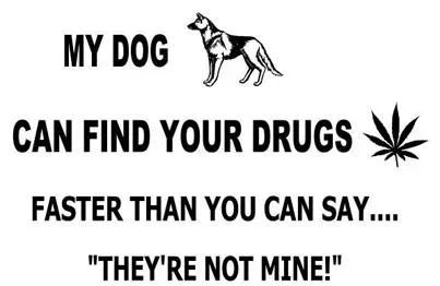 Top 25 sjove hundetegn' title=