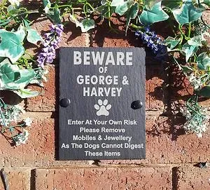 Top 25 sjove hundetegn' title=