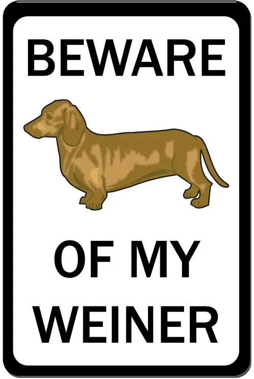 Top 25 sjove hundetegn' title=