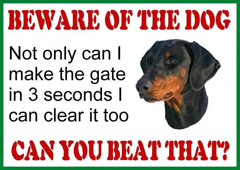 Top 25 sjove hundetegn' title=