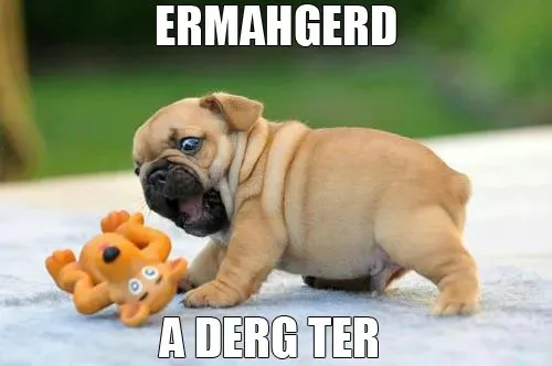 25 juokingi šunų memai: 4 dalis' title=