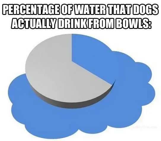 Pasji memi, 5. del: Dobro, žalostno in smešno' title=