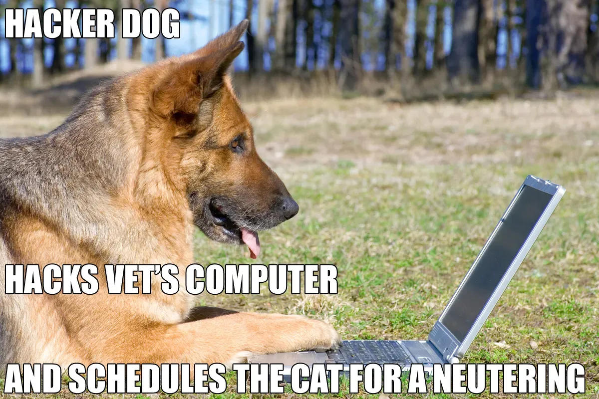 Pasji memi, 5. del: Dobro, žalostno in smešno' title=